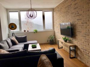 TV a/nebo společenská místnost v ubytování Apartment Elis