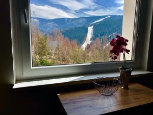Nespecifikovaný výhled na hory nebo výhled na hory při pohledu z apartmánu