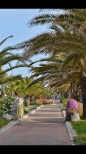 A garden outside Hotel Marconi