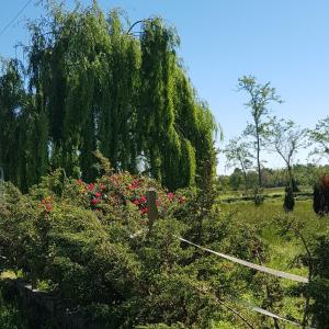 Ogród w obiekcie Az.Agr.Cascina Moretta