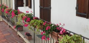 Ogród w obiekcie Az.Agr.Cascina Moretta