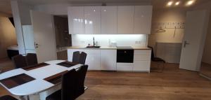 A kitchen or kitchenette at Downtown Vienna new built luxury suites