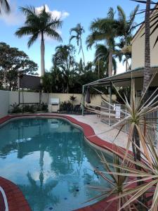 - une piscine bordée de palmiers en face d'une maison dans l'établissement Sound Villa No 6 - Noosa Getaways, à Noosa Heads