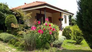 En have udenfor Sunny villa Boutique Varna