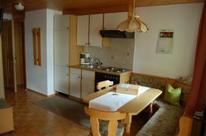 Kuchyňa alebo kuchynka v ubytovaní Appartements Karin Mitten im Grünen