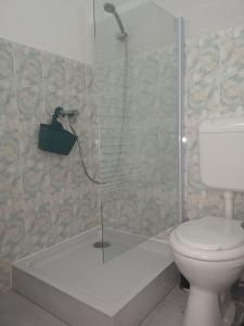 y baño con ducha y aseo. en Casa Miron Unirii 3Strada Matei Corvin Apartament en Timisoara