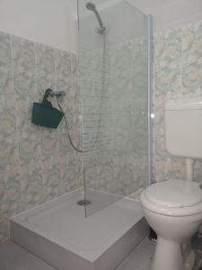 une douche dans une salle de bain avec toilettes dans l'établissement Casa Miron Unirii 3Strada Matei Corvin Apartament, à Timişoara 4 autres photos