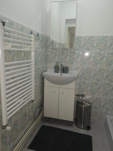 ein Bad mit einem Waschbecken und einem Spiegel in der Unterkunft Casa Miron Unirii 3Strada Matei Corvin Apartament in Timişoara