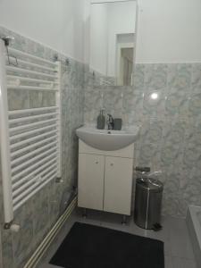 une salle de bain avec un lavabo et un miroir dans l'établissement Casa Miron Unirii 3Strada Matei Corvin Apartament, à Timişoara
