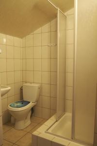 a bathroom with a toilet and a shower at Pokoje u Wojtka Charbrowo in Charbrowo +10 photos