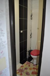 ラザレフスコエにあるFort Artur Hotelのバスルーム(赤い椅子付きトイレ付)