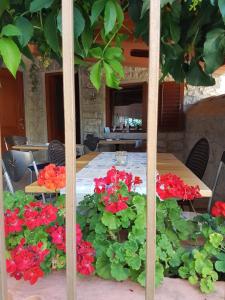 Zahrada ubytování FUNTANA-MIA ROOMS B&B