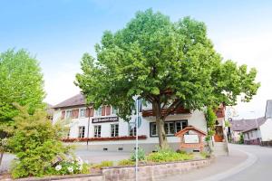 un árbol frente a un edificio blanco en Hotel Gasthof Engel en Appenweier