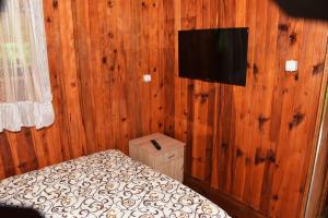 TV a/nebo společenská místnost v ubytování Brvnara Brković