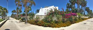 a garden with flowers and palm trees in front of a building at Beachfront oasis in Costa del Sol. in Caleta De Velez