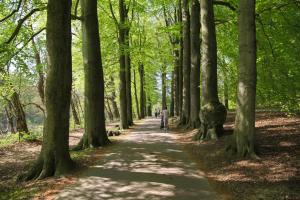 Galeriebild der Unterkunft B&B Freydag in Rheden