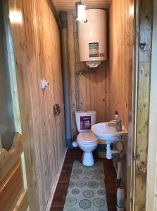 een kleine badkamer met een toilet en een wastafel bij Дімона in Mykulychyn
