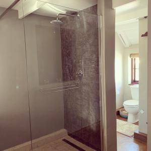 a glass shower in a bathroom with a toilet at The Oystercatchers Haven at Paternoster in Paternoster