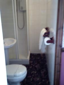 a bathroom with a toilet and a shower and a sink at Regency House in Walton-on-the-Naze