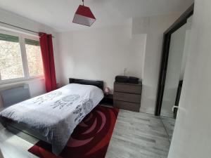 1 dormitorio con cama y ventana en Appartement des Remparts, en Valenciennes