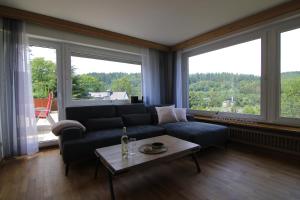許萊登的住宿－Wohnung Talblick，带沙发和大窗户的客厅