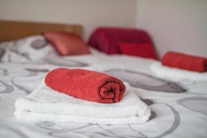 Gallery image of Bílé domky in Lednice