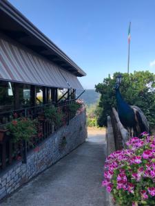 Zahrada ubytování Agriturismo La Baita
