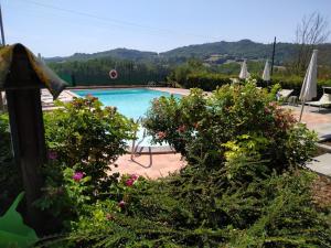 a swimming pool with some bushes and flowers at Podere Casenove in Citerna