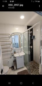 uma casa de banho com um lavatório, um chuveiro e um WC. em plt&EVA em Anykščiai