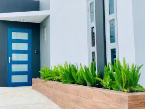 a blue door and plants in front of a building at Modern Suite #1 Pasavento in Aguadilla