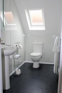 a bathroom with a toilet and a sink and a skylight at Kings Head Hotel in North Elmham