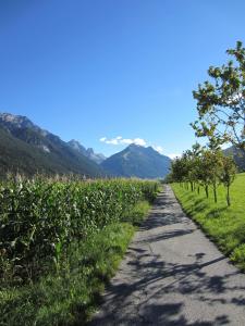 un camino a través de un campo de maíz con montañas en el fondo en Landsitz Bichlhof, en Fulpmes