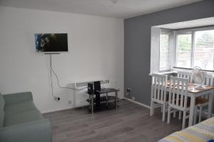 TV o dispositivi per l'intrattenimento presso 1 Bedroom Apartment Ponders End