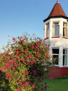a house with a large bush of flowers in front of it at Beechlands B & B in Whitby