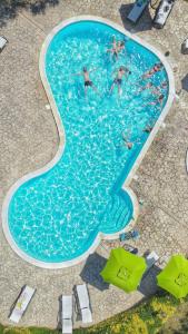 a group of people swimming in a swimming pool at Agriturismo Terre di Musignano in Canino