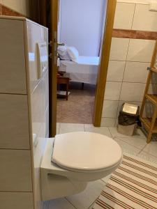 Koupelna v ubytování Vila Tesmija