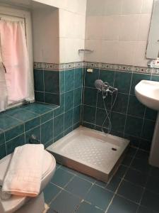 a bathroom with a shower with a toilet and a sink at Antik Ridvan Hotel in Çeşme