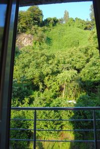 Paesaggio naturale nelle vicinanze dell'affittacamere