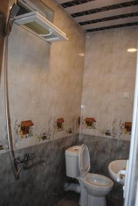 un bagno con un water e un lavandino di David Guest House a Sarpi