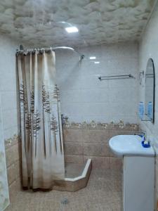 La salle de bains est pourvue d'un rideau de douche et d'un lavabo. dans l'établissement SPARTA Apartment Complex, à Sevan