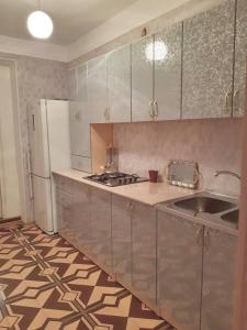 La cuisine est équipée d'un évier et d'un réfrigérateur. dans l'établissement SPARTA Apartment Complex, à Sevan