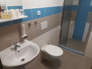 Kúpeľňa v ubytovaní Penzion 411