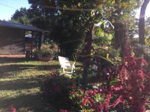 podwórko z krzesłem, kwiatami i drzewem w obiekcie Casa di Igor w mieście Casemurate