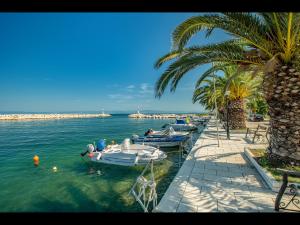 a group of boats in the water near a palm tree at Pasithea House in Skala Sotiros