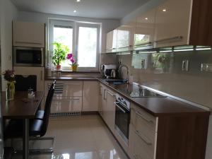 Kuchyňa alebo kuchynka v ubytovaní City Centre Apartment Liptovsky Mikulas
