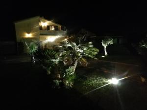 a night view of a house with palm trees and lights at Ulivo Apartment in Ragusa