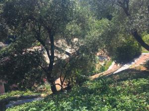 Gallery image of Villa Olivari - apt la Lavanda in Camogli +51 photos