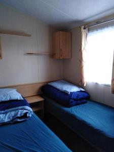 a small room with two beds and a window at Blackmoor Farm in Narberth