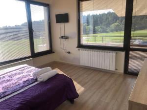 a bedroom with a bed and two large windows at VILLA RELAX in Tsigov Chark