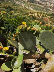 Antico Borgo Dei Templi Agrigento Updated 2021 Prices